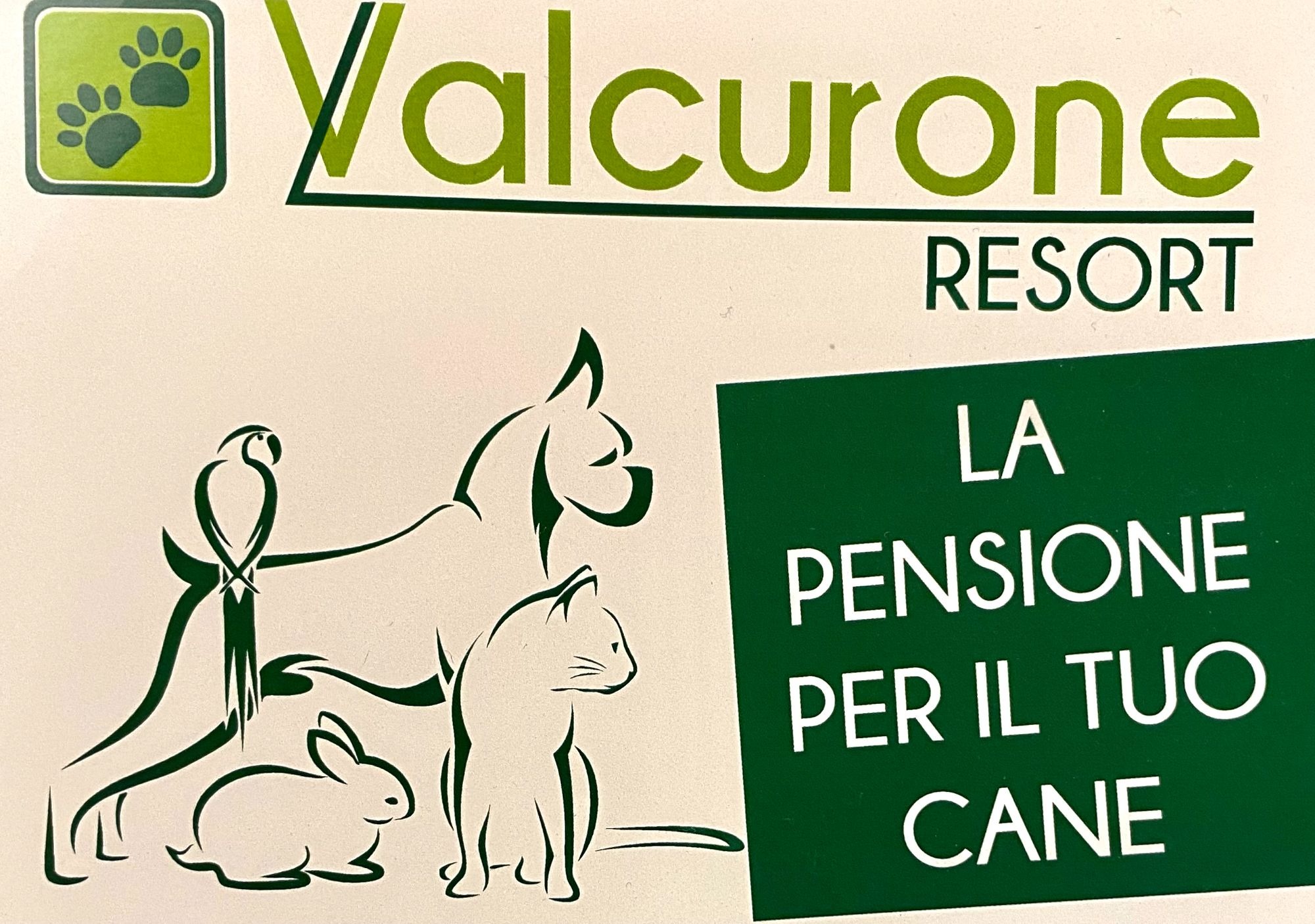 La pensione perfetta per il tuo cane