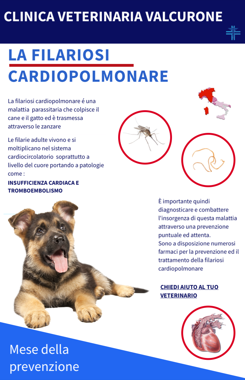 Mese della profilassi della Filariosi Cardiopolmonare